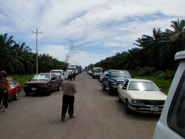 P52101001.jpg