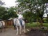 P5180041.JPG