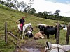 P5180049.JPG