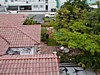 P7040029.JPG