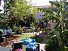 P7040033.JPG