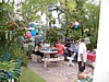 P7040069.JPG